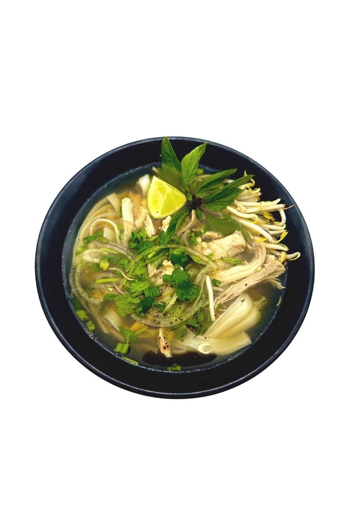 Chicken Pho / Pho Ga.
